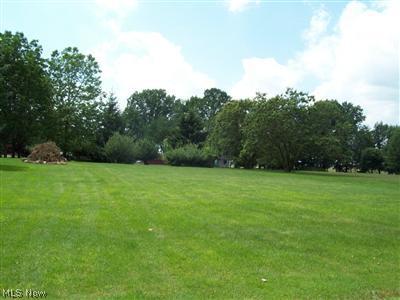2001 Pontius Road Mogadore, OH 44260 - Photo 6 of 23 View behind the barn
