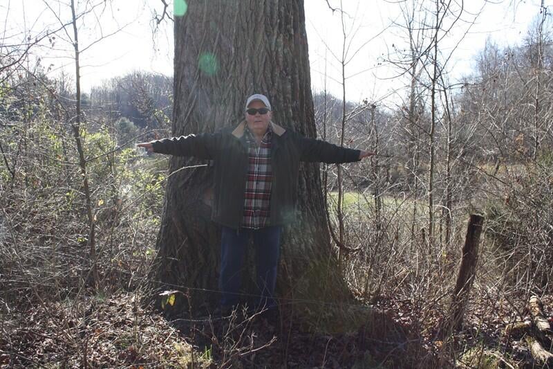 Zion Mountain Road Hinton, WV 25951 - Photo 25 of 73 Gallery Image 25