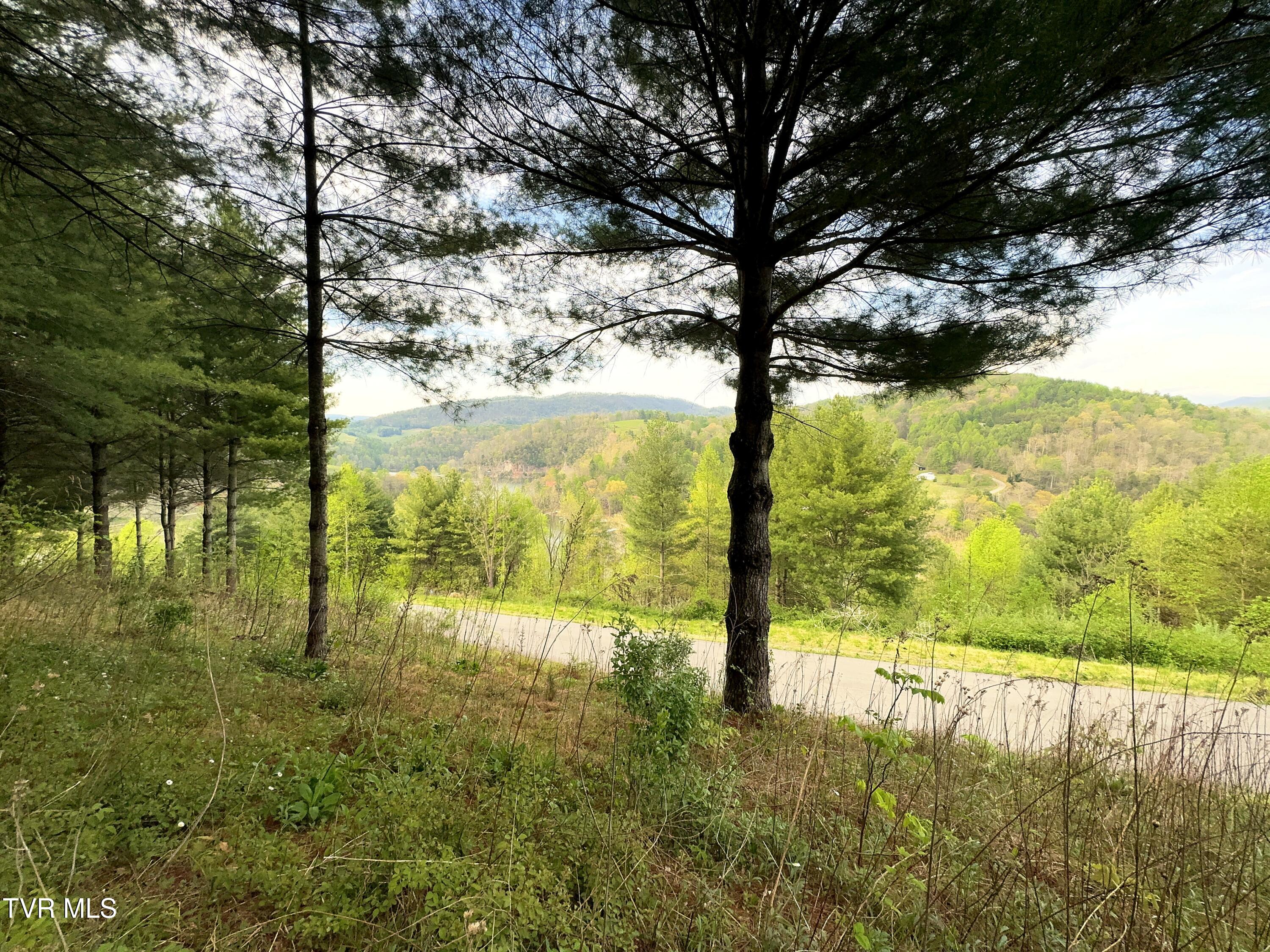 Lot 11 Cowan Town Road, Unit 11 Butler, TN 37640 - Photo 7 of 41 Lot 11 (1)