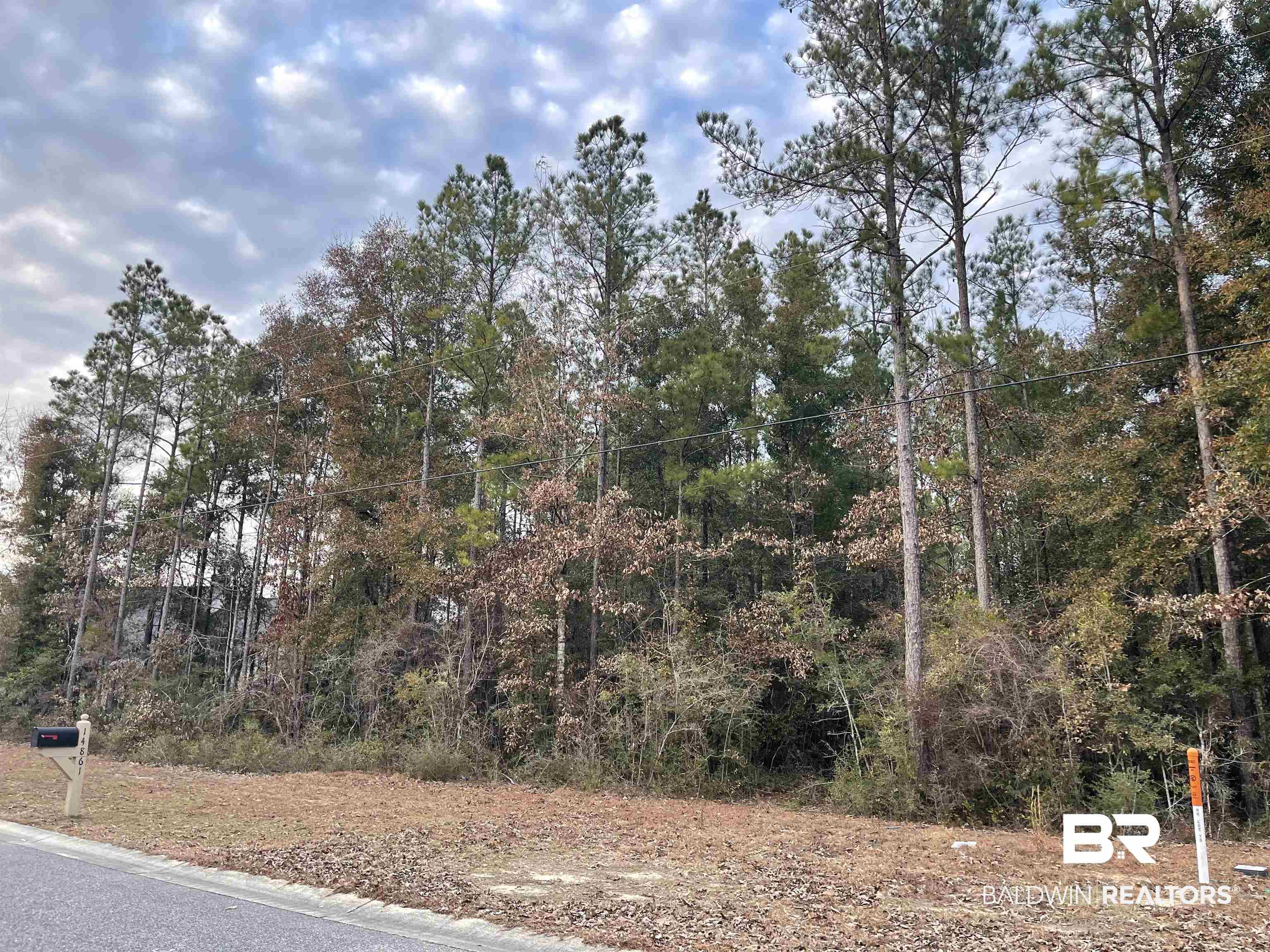 14850 Cayden Circle Stapleton, AL 36578 - Photo 2 of 3 View of road