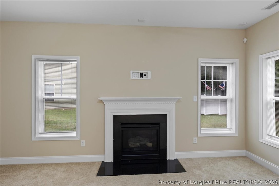 231 Snipe Court Raeford, NC 28376 - Photo 9 of 34