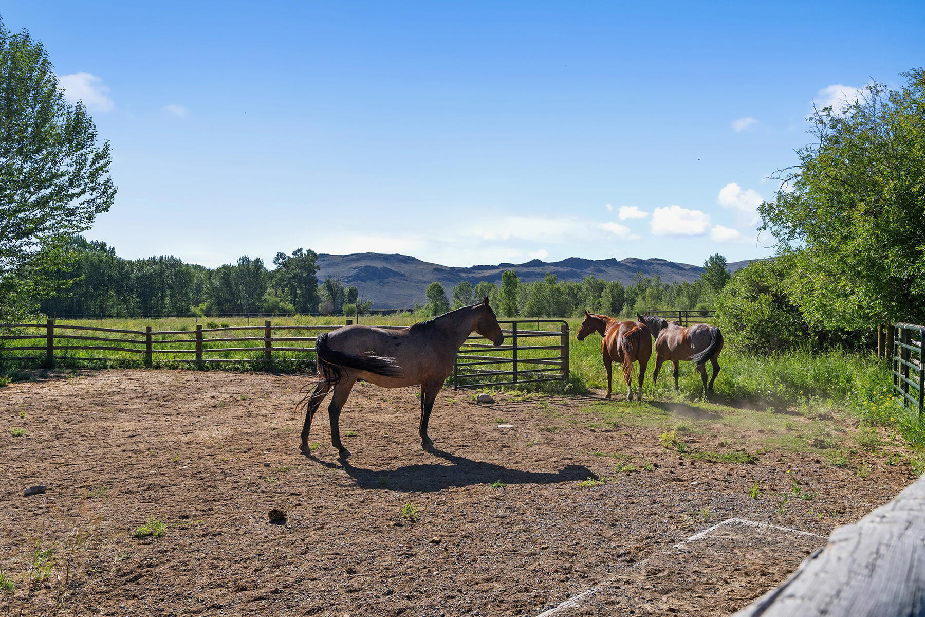 6139 Trail Creek Road Mackay, ID 83251 - Photo 65 of 100 065-big-lost