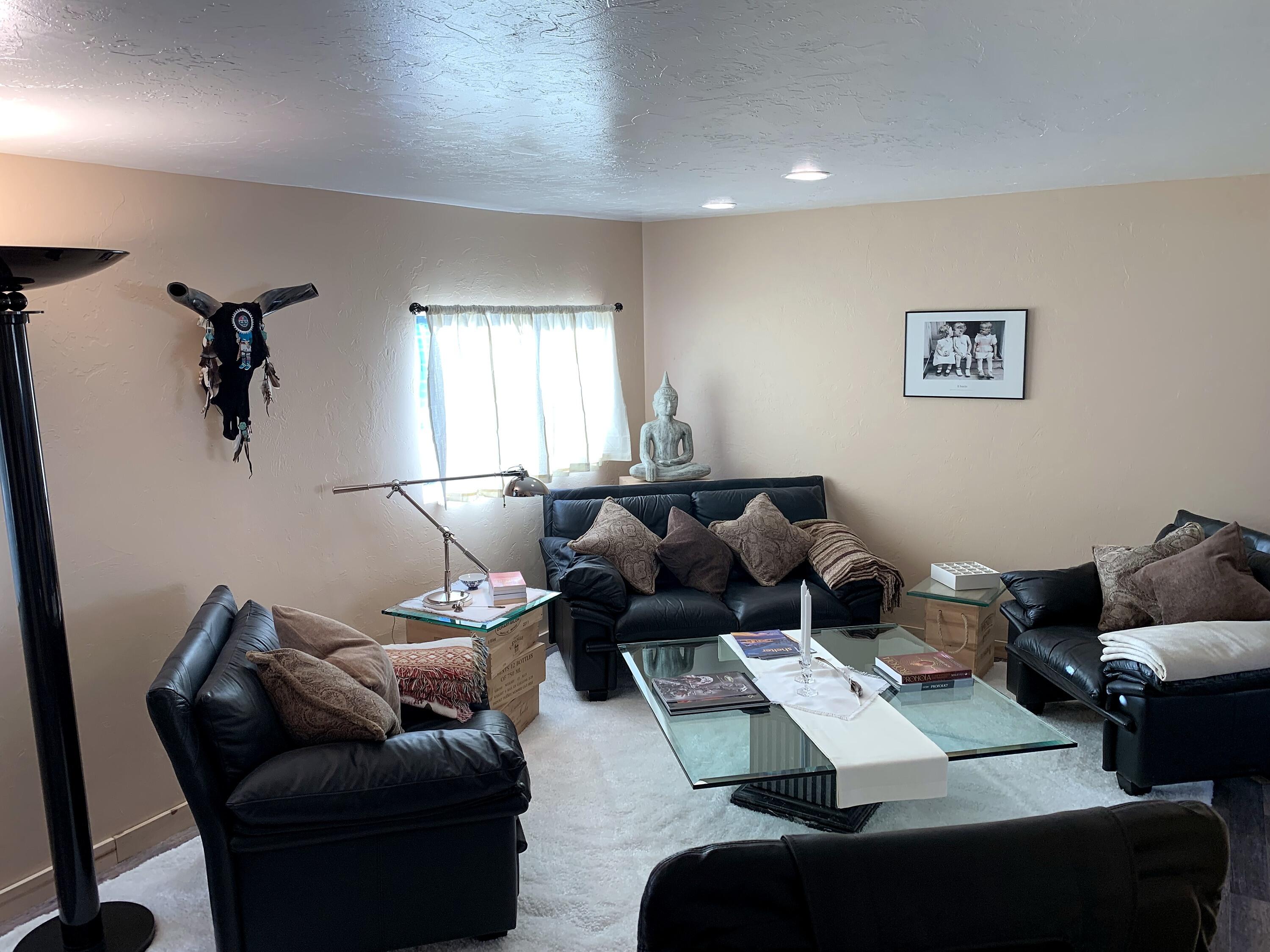 333 Marys Road Ridgway, CO 81432 - Photo 11 of 41 060-333-marys-road-colorado-mountain-hom