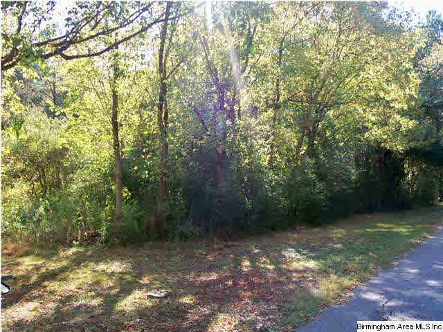 2028 Morgan Road, Unit 9 AC Bessemer, AL 35022 - Photo 2 of 7