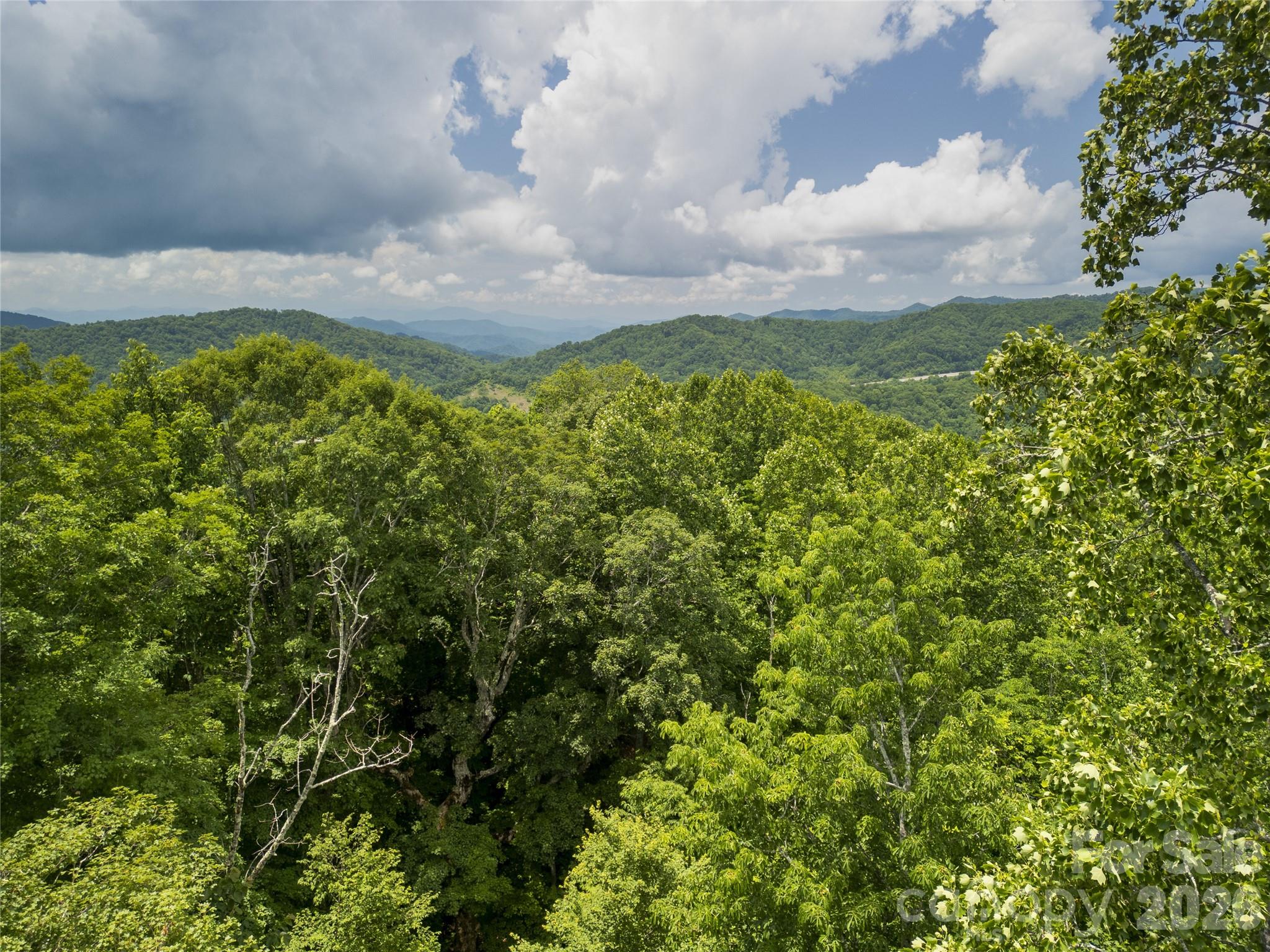 168 Smith Creek Road Mars Hill, NC 28754 - Photo 42 of 46