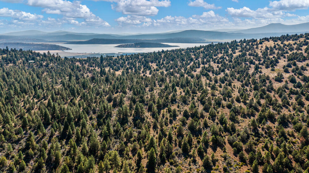 Lot 26 Simpson Canyon Road Klamath Falls, OR 97601 - Photo 6 of 33 SimpsonCanyonLand-29