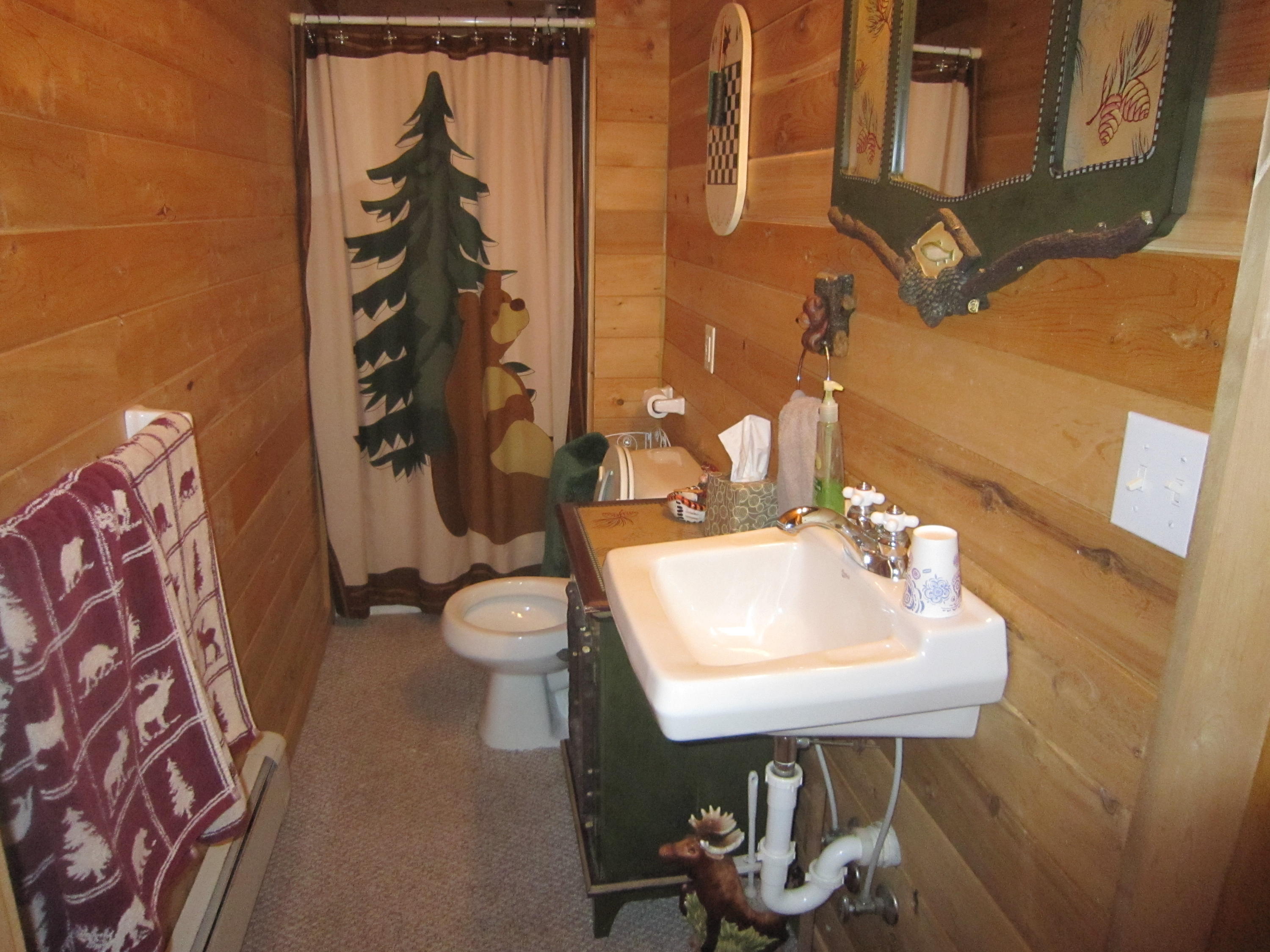 1375 North Chip Lake Road Germfask, MI 49836 - Photo 20 of 31 Gallery Image 20