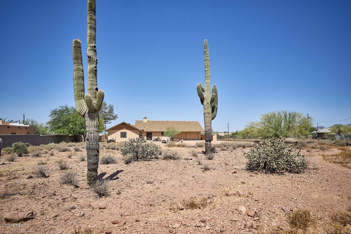 2209 South Sixshooter Road Apache Junction, AZ 85119 - Photo 46 of 49 Backyard