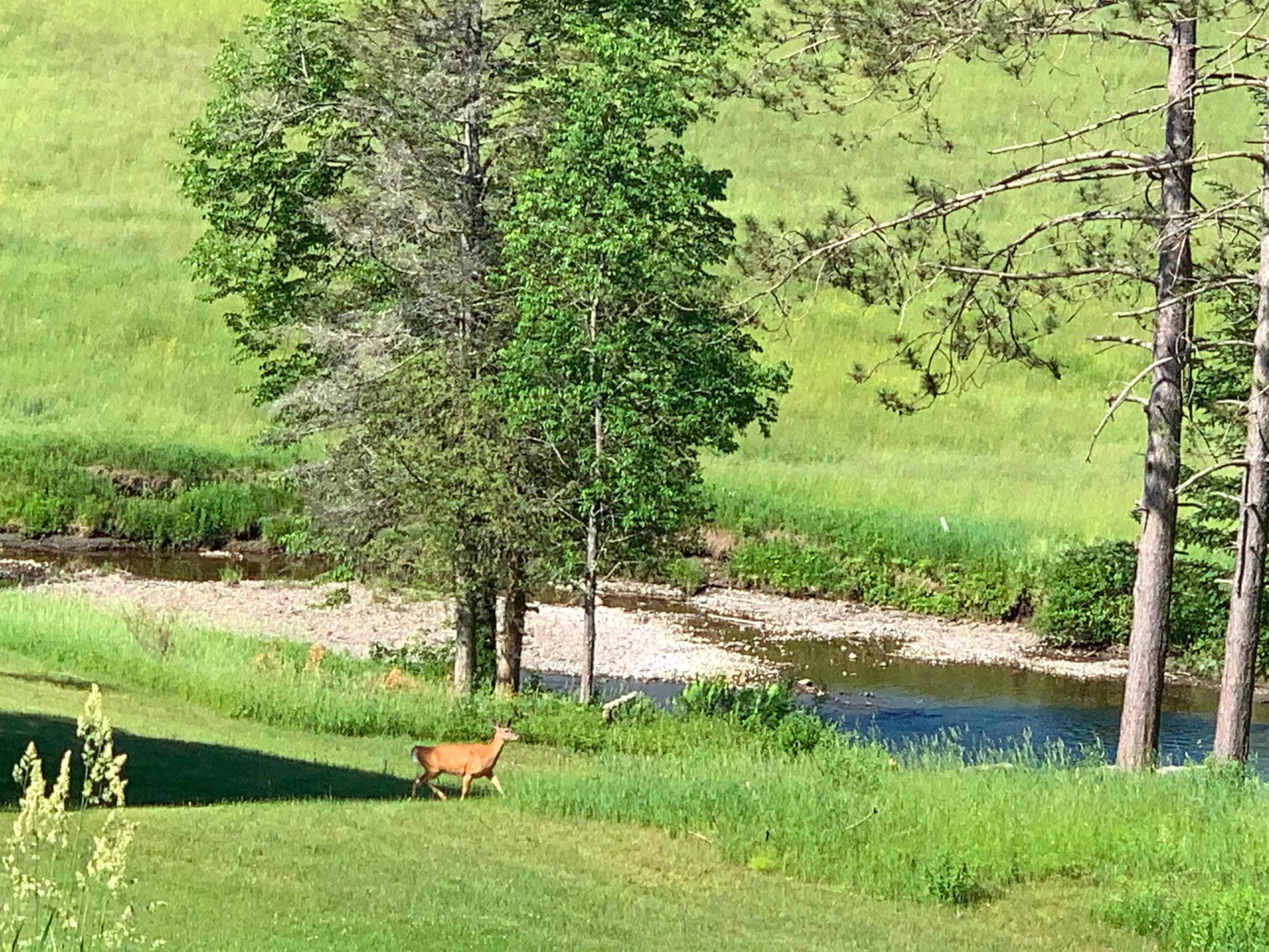 311 Brook Hill Road Barnet, VT 05819 - Photo 38 of 40