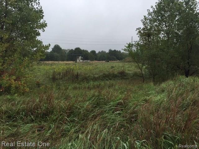 Vacant Milford Road Highland, MI 48356 - Photo 2 of 3