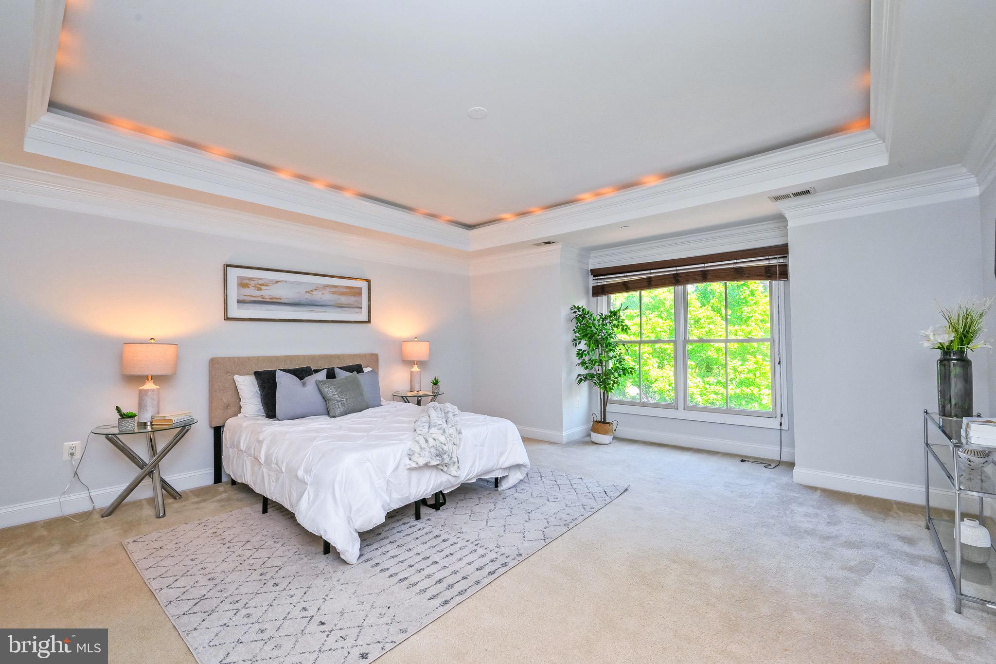 7004 Eastern Red Cedar Lane McLean, VA 22101 - Photo 20 of 37