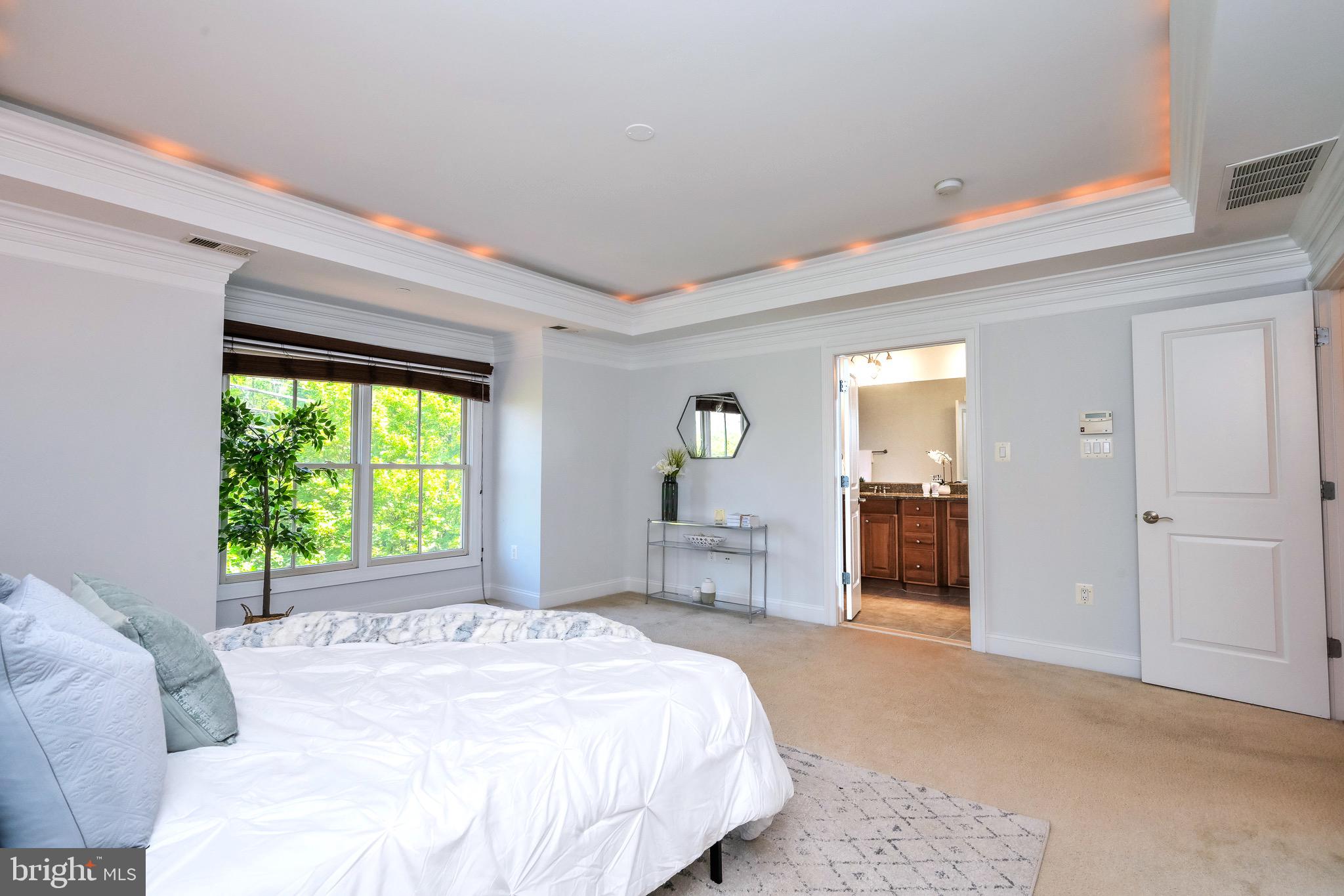 7004 Eastern Red Cedar Lane McLean, VA 22101 - Photo 21 of 37