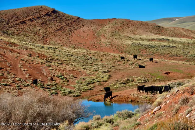 $14,950,000 | 475 County Rd 324, Sinclair, WY 82334