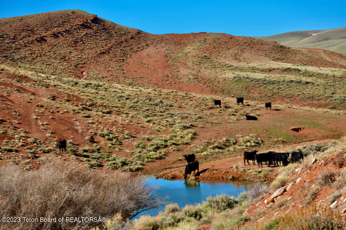475 County Rd 324 Sinclair, WY 82334 - Photo 16 of 49 Haystack-River-Ranch-7-of-24