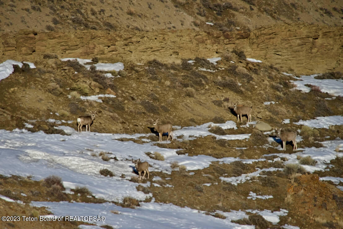475 County Rd 324 Sinclair, WY 82334 - Photo 33 of 49 Haystack-River-Ranch-13-of-16-1