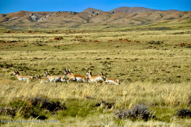 $14,950,000 | 475 County Rd 324, Sinclair, WY 82334