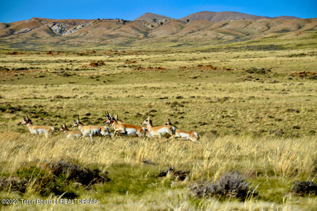 475 County Rd 324 Sinclair, WY 82334 - Photo 6 of 49 Haystack-River-Ranch-2-of-24