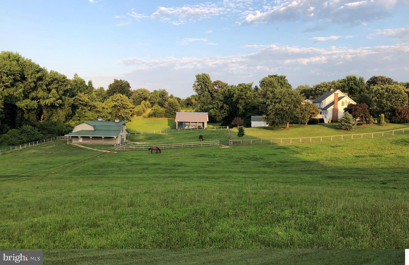 Summer Pastures