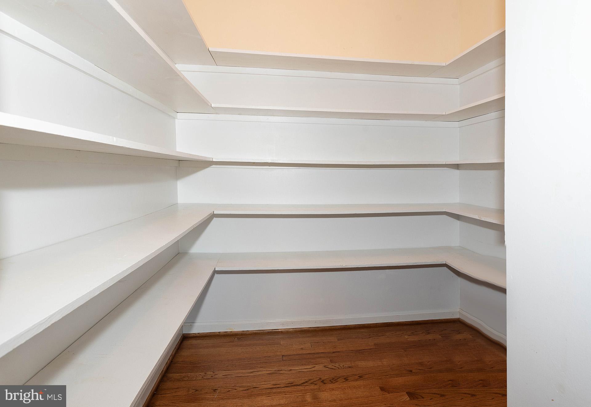 348 South River Clubhouse Road Edgewater, MD 21037 - Photo 23 of 74 Walk-in Pantry