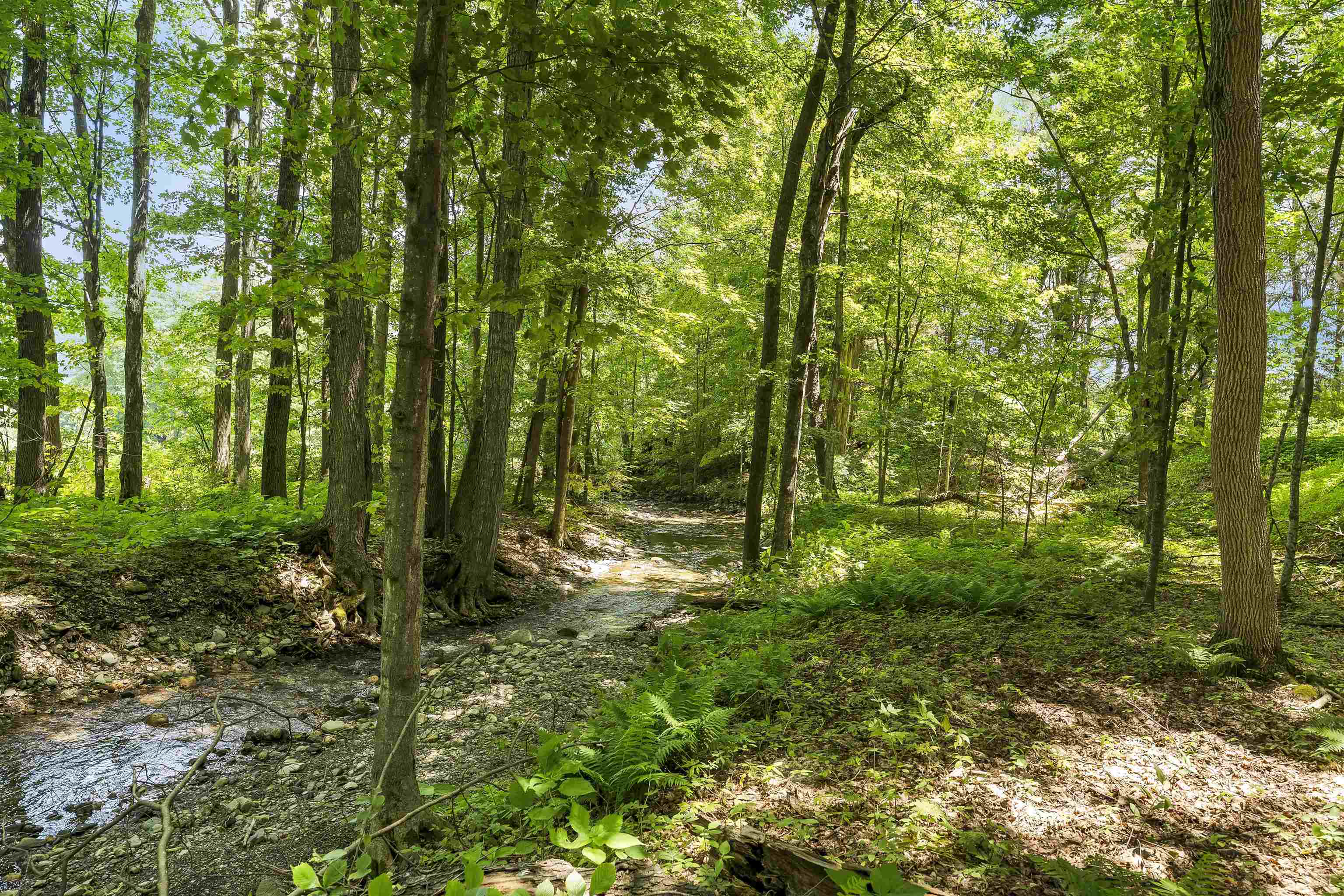 5491 Highway 315 Rupert, VT 05761 - Photo 41 of 54