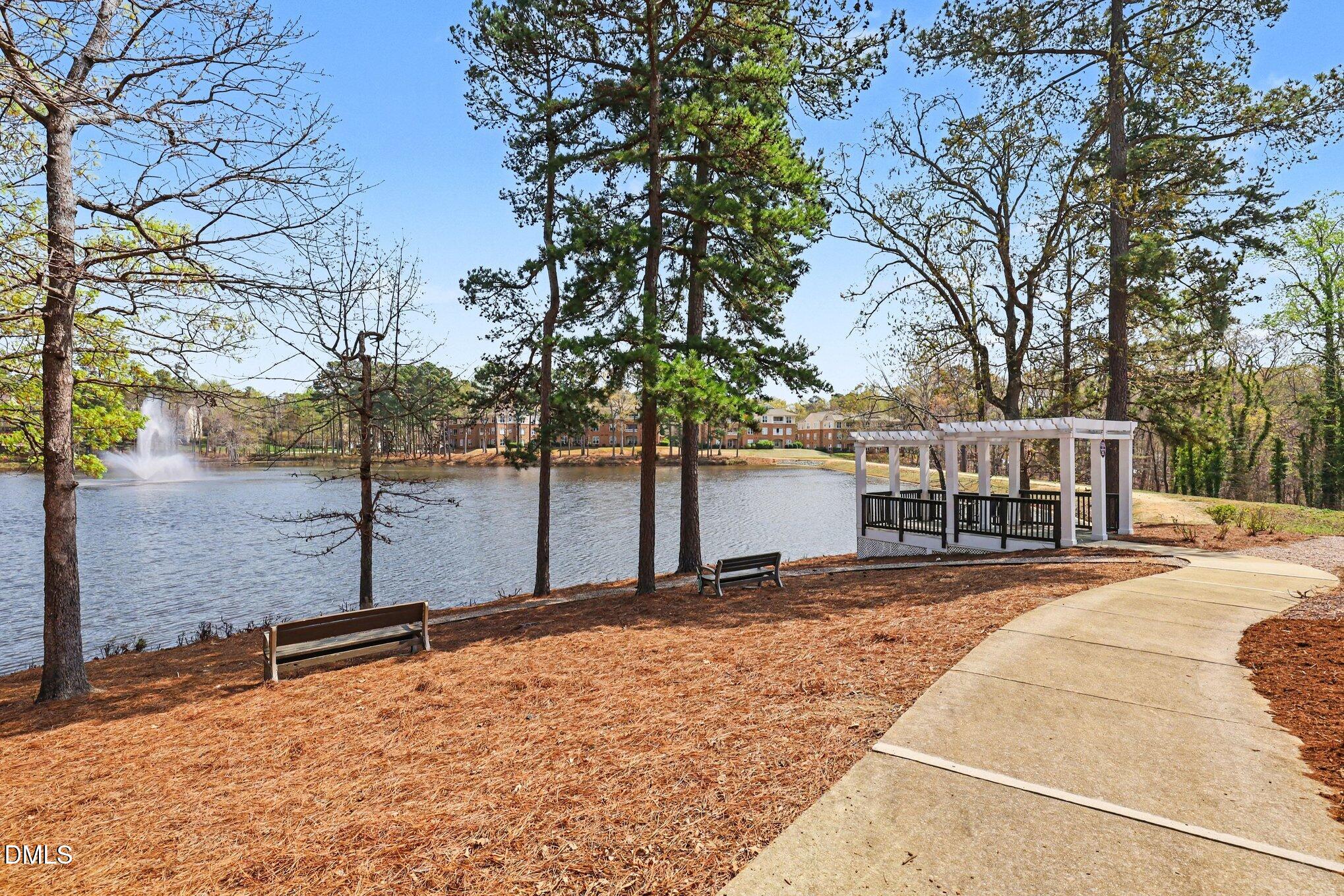 723 Swan Neck Lane Raleigh, NC 27615 - Photo 41 of 52 a view of a house with snow on the road