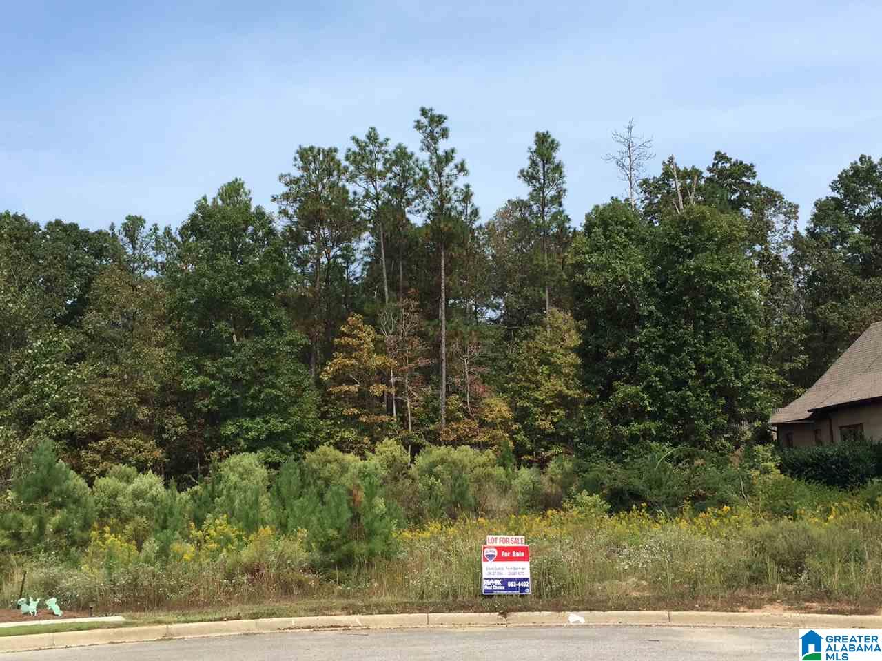276 Normandy Lane, Unit 66 Chelsea, AL 35043 - Photo 1 of 2