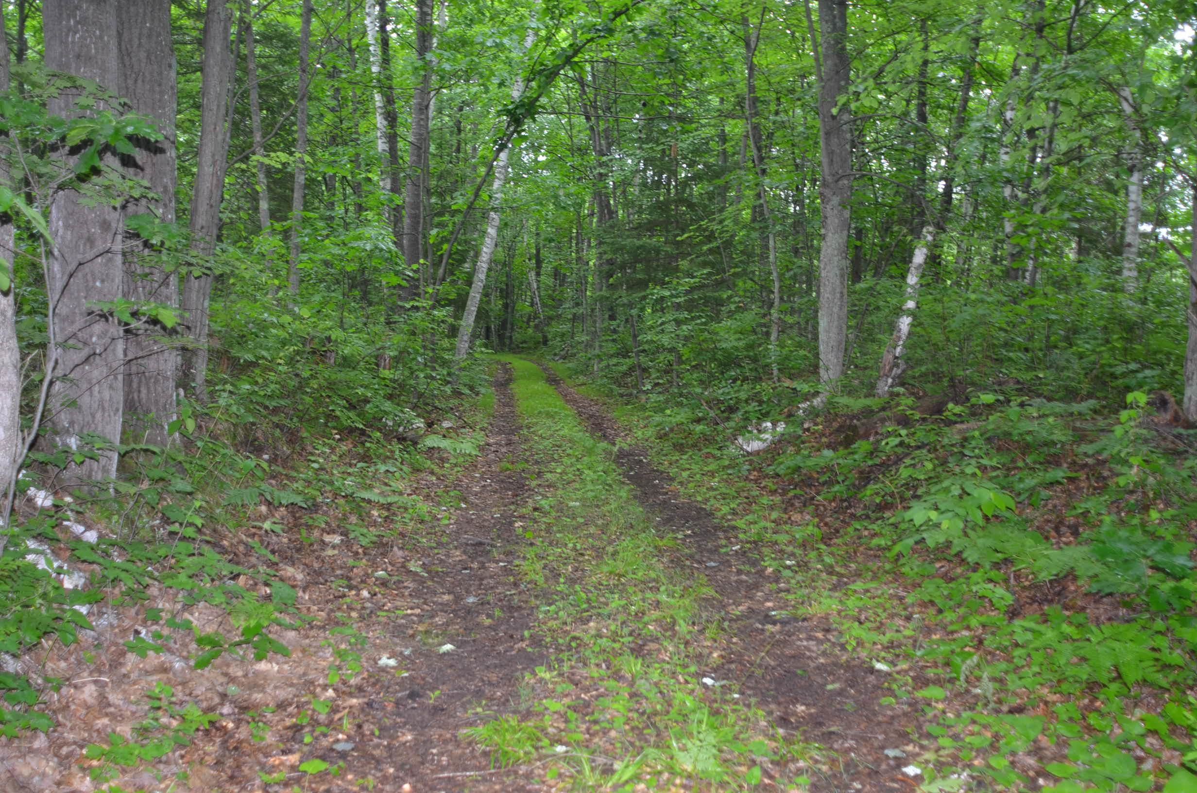 4140 Poskie Road Rhinelander, WI 54501 - Photo 23 of 58