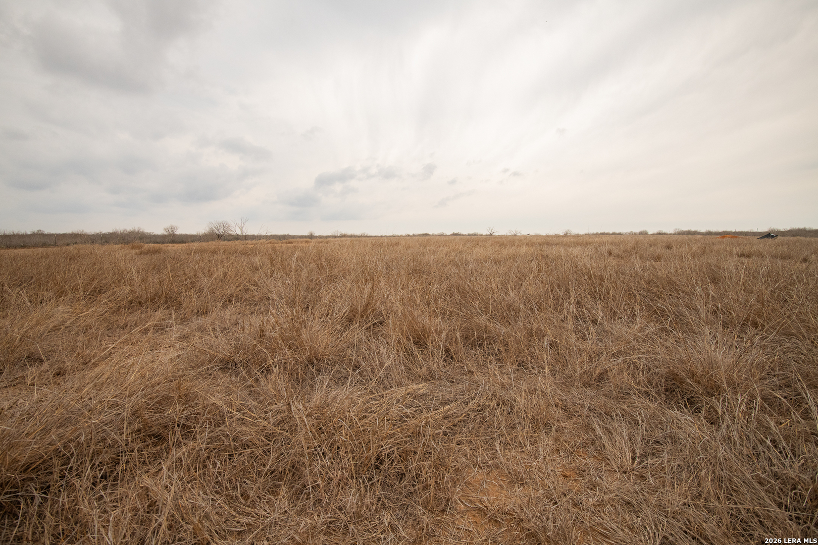 905 County Road 341 Jourdanton, TX 78026 - Photo 11 of 12