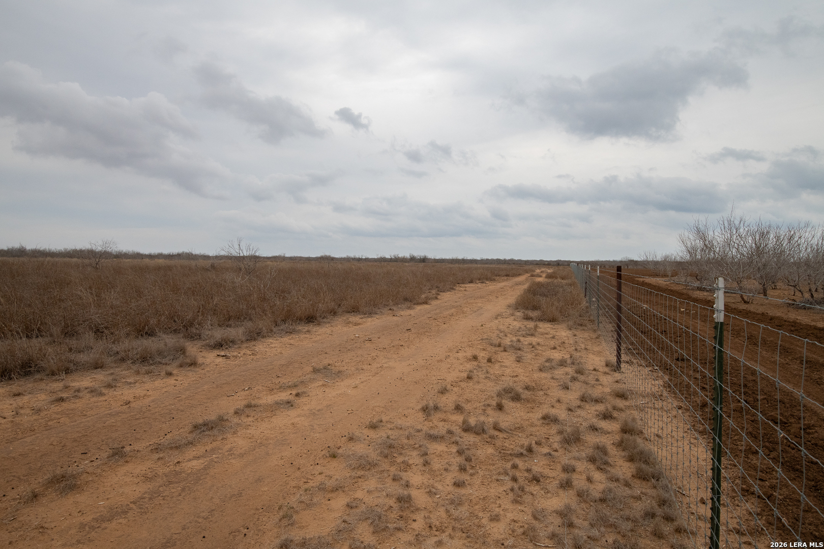 905 County Road 341 Jourdanton, TX 78026 - Photo 12 of 12