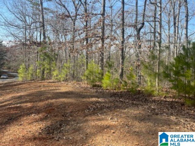 0 Laurel Way, Unit 93 Wedowee, AL 36278 - Photo 4 of 5