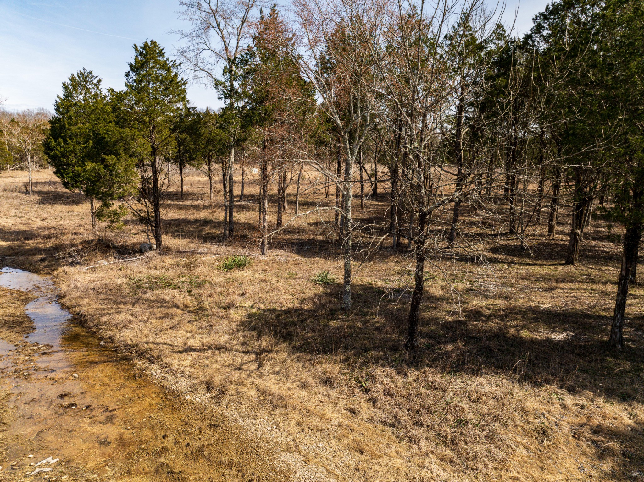 8324 Rocky Hill Road Lascassas, TN 37085 - Photo 37 of 49