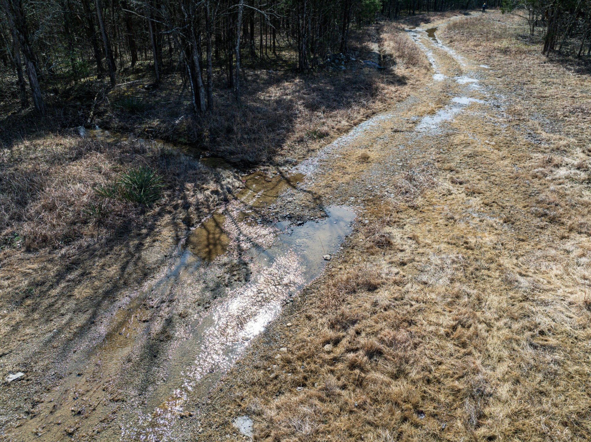 8324 Rocky Hill Road Lascassas, TN 37085 - Photo 38 of 49