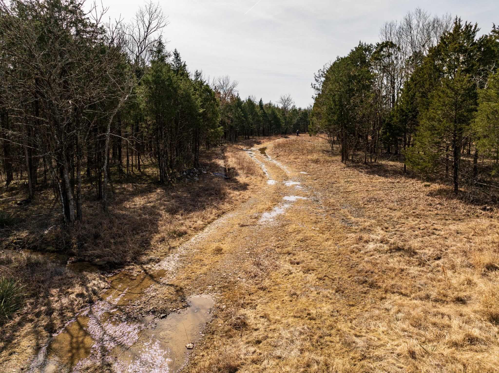 8324 Rocky Hill Road Lascassas, TN 37085 - Photo 39 of 49