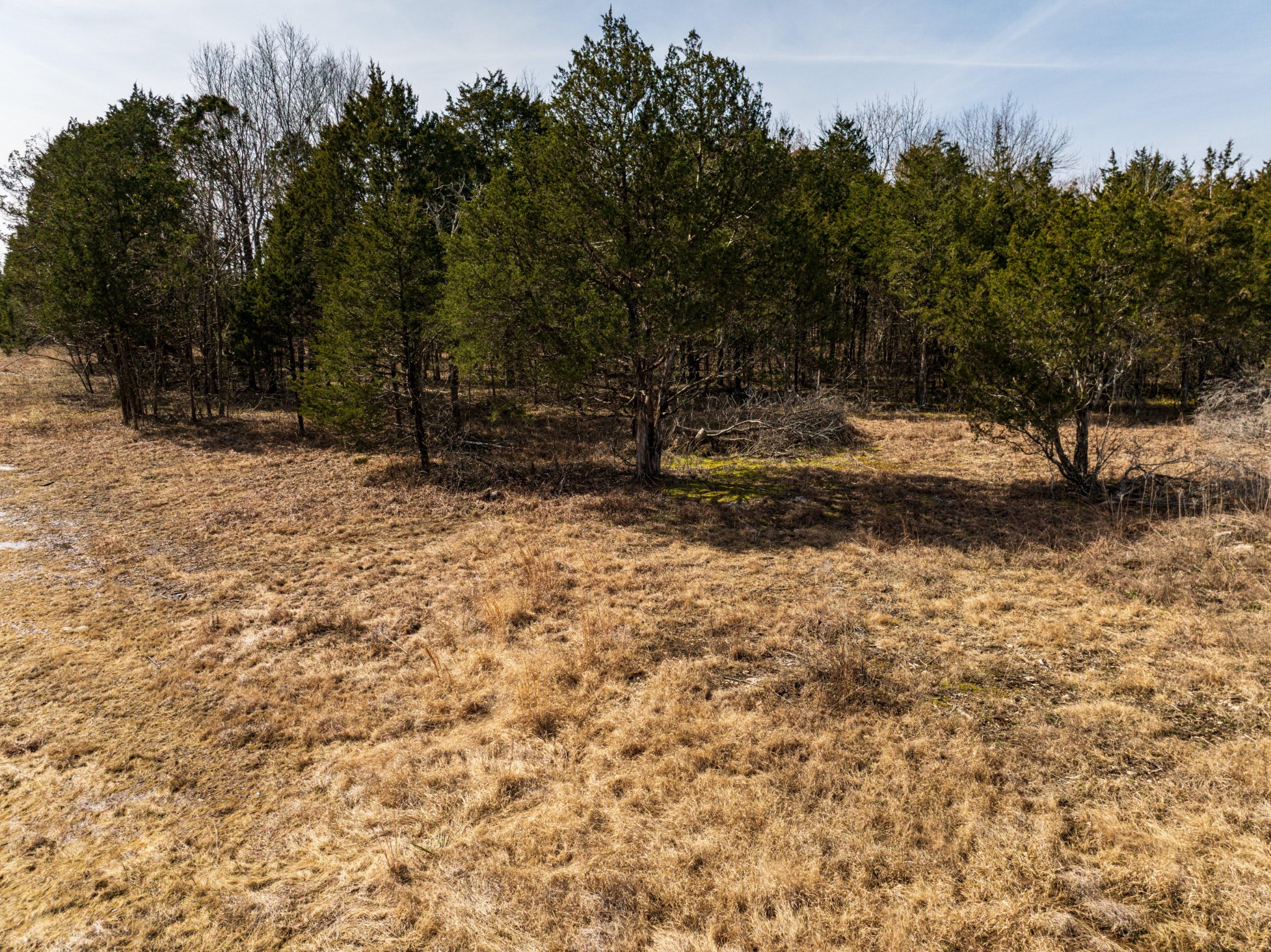 8324 Rocky Hill Road Lascassas, TN 37085 - Photo 40 of 49