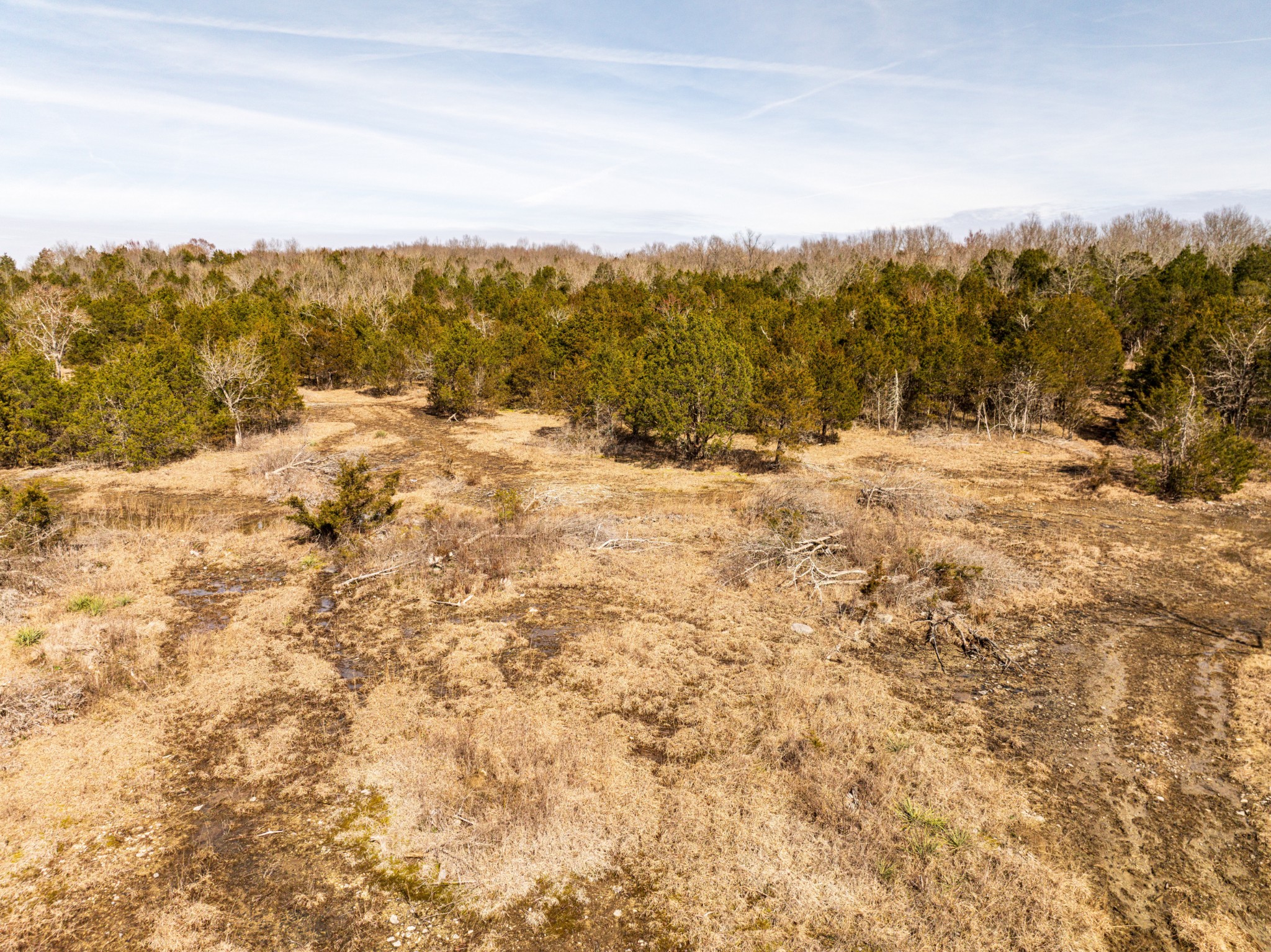 8324 Rocky Hill Road Lascassas, TN 37085 - Photo 41 of 49