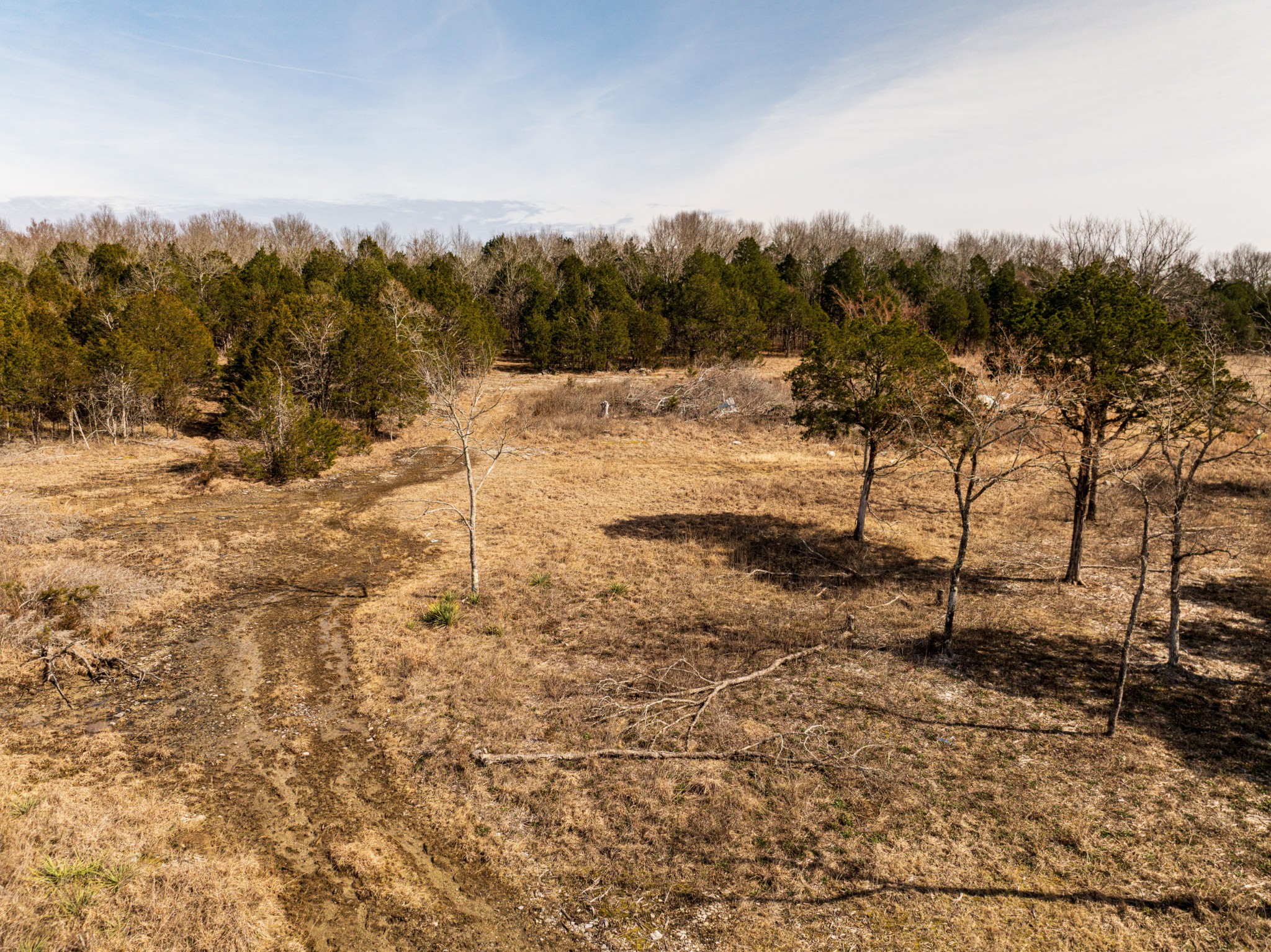 8324 Rocky Hill Road Lascassas, TN 37085 - Photo 42 of 49