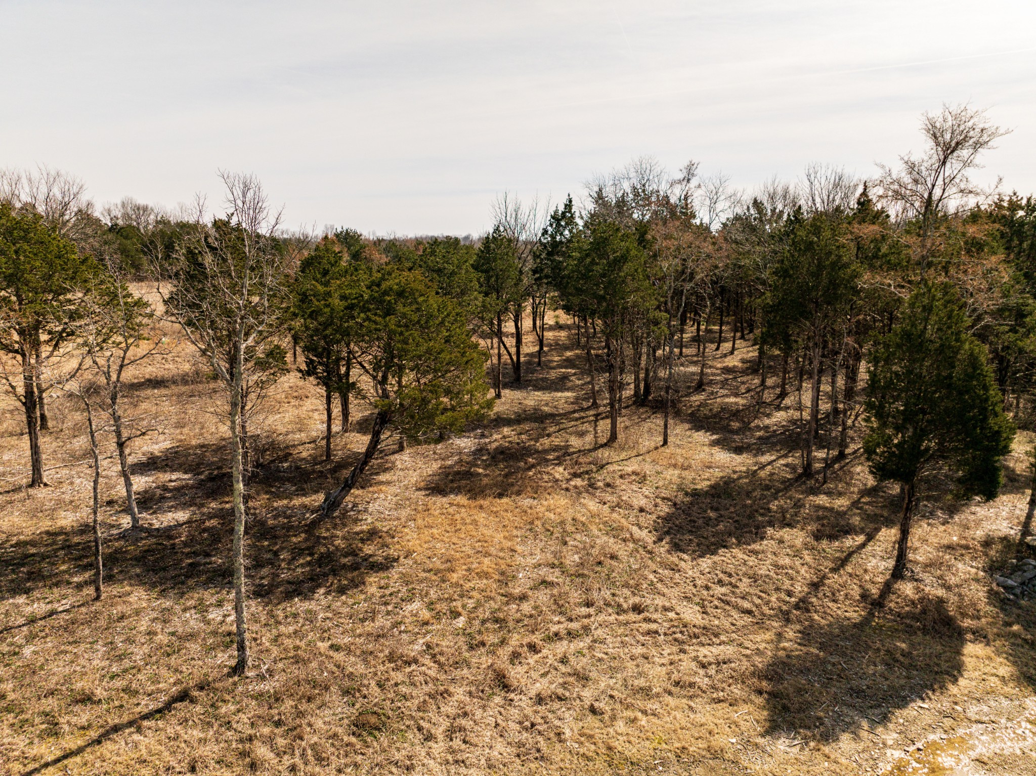 8324 Rocky Hill Road Lascassas, TN 37085 - Photo 44 of 49