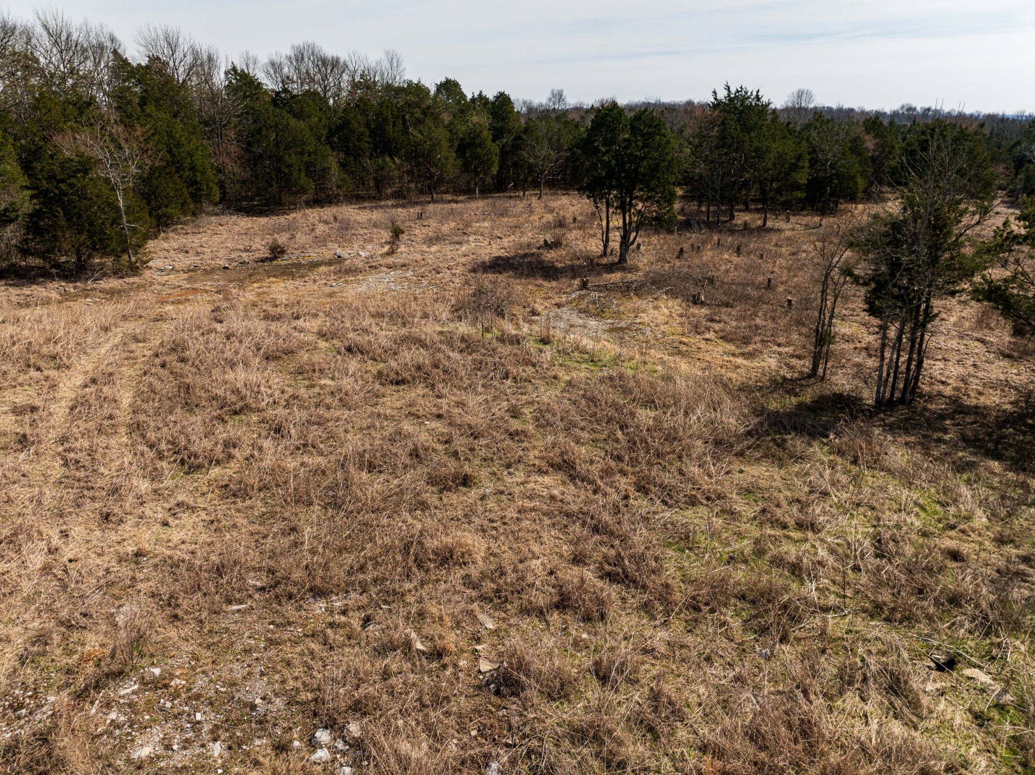 8324 Rocky Hill Road Lascassas, TN 37085 - Photo 47 of 49