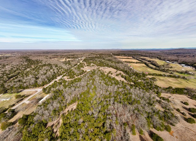 8324 Rocky Hill Road Lascassas, TN 37085 - Photo 7 of 49