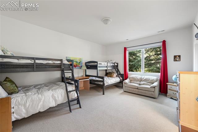 14595 Roller Coaster Road Colorado Springs, CO 80921 - Photo 11 of 24 Gallery Image 11