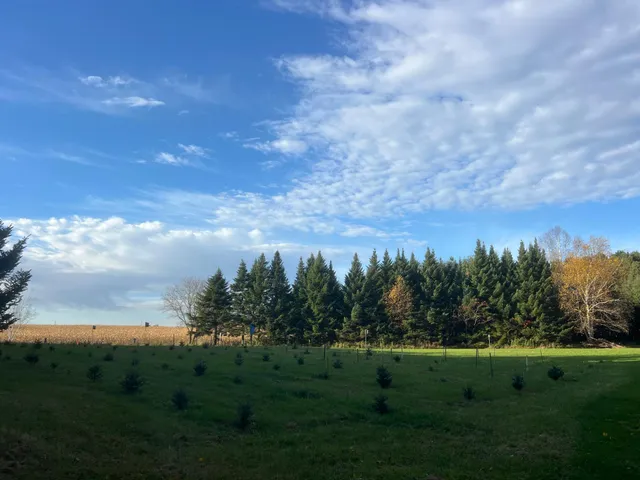 $124,995 | 789 29 1/2 Avenue, Barronett, WI 54813