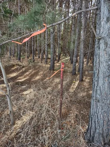 $124,995 | 789 29 1/2 Avenue, Barronett, WI 54813