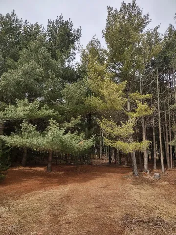 $124,995 | 789 29 1/2 Avenue, Barronett, WI 54813