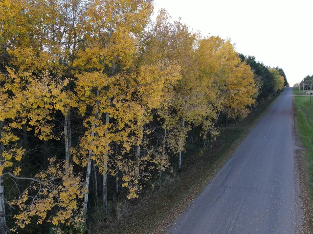 $124,995 | 789 29 1/2 Avenue, Barronett, WI 54813