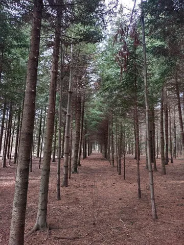 $124,995 | 789 29 1/2 Avenue, Barronett, WI 54813