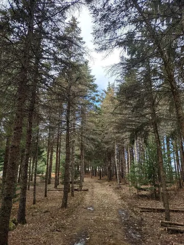 $124,995 | 789 29 1/2 Avenue, Barronett, WI 54813