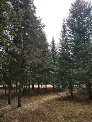 $124,995 | 789 29 1/2 Avenue, Barronett, WI 54813