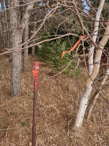 $124,995 | 789 29 1/2 Avenue, Barronett, WI 54813