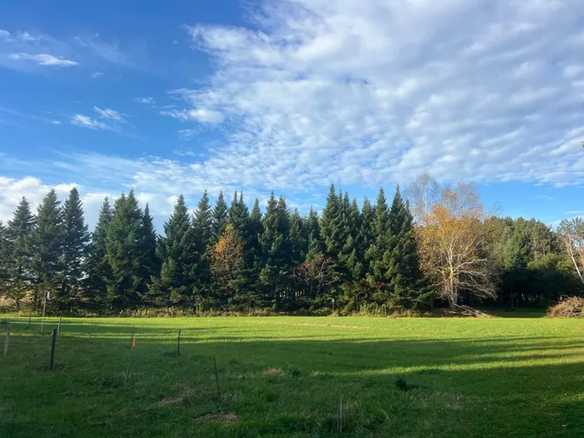 $124,995 | 789 29 1/2 Avenue, Barronett, WI 54813