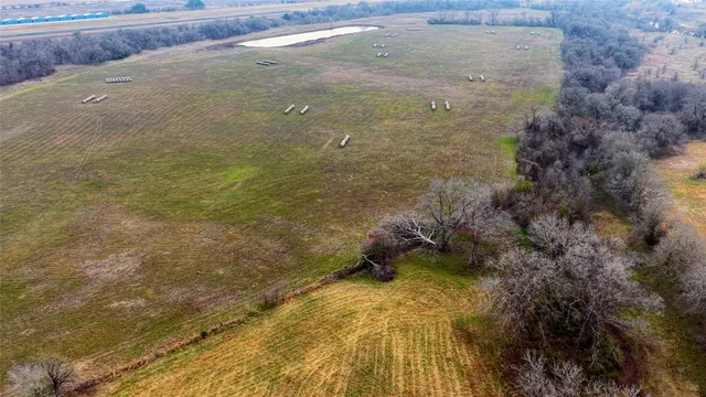 a view of a dry yard
